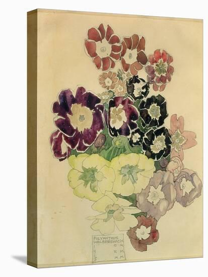 Polyanthus, Walberswick, 1915-Charles Rennie Mackintosh-Premier Image Canvas