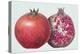 Pomegranate, 1995-Margaret Ann Eden-Premier Image Canvas