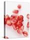 Pomegranate Seeds-Alain Caste-Premier Image Canvas