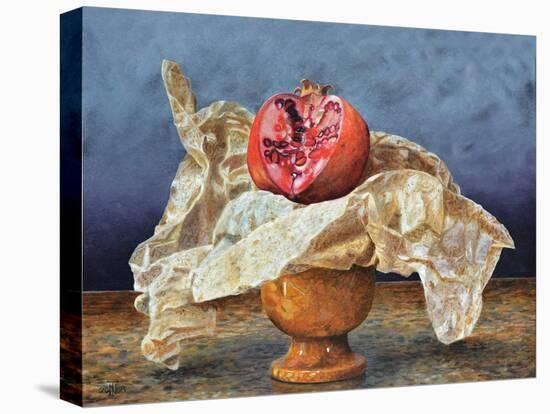 Pomegranate Still Life, 2008 (Oil on Board)-Trevor Neal-Premier Image Canvas