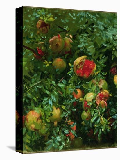 Pomegranates, Majorca, C.1908-John Singer Sargent-Premier Image Canvas