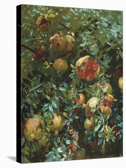 Pomegranates, Majorca-John Singer Sargent-Premier Image Canvas