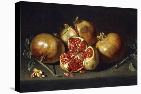 Pomegranates-Antonio Ponce-Premier Image Canvas