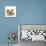 Pomeranian, Three Sitting, One Puppy, Studio Shot-null-Premier Image Canvas displayed on a wall