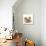 Pomeranian, Three Sitting, One Puppy, Studio Shot-null-Premier Image Canvas displayed on a wall