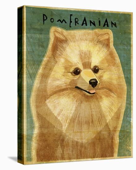 Pomeranian-John W Golden-Stretched Canvas