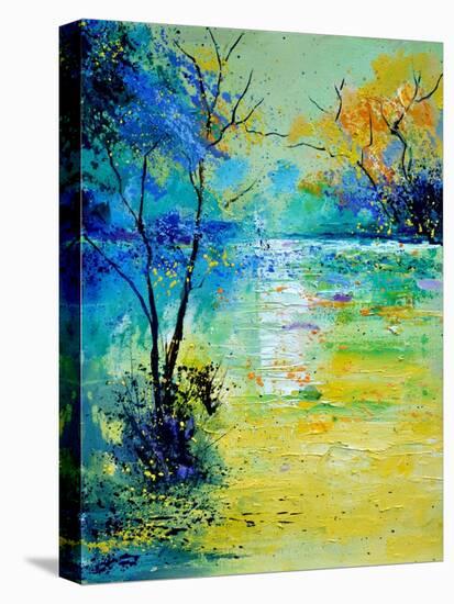 Pond 454190-Pol Ledent-Stretched Canvas