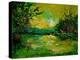 Pond 5431-Pol Ledent-Stretched Canvas