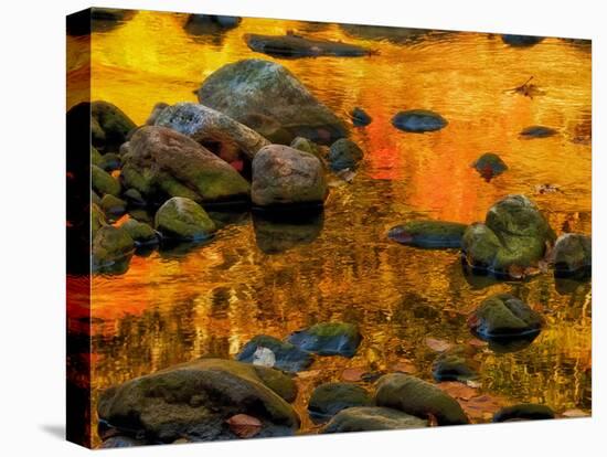 Pond, Davis, West Virginia, USA-Jay O'brien-Premier Image Canvas