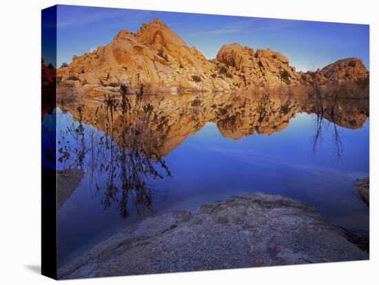 Pond in Joshua Tree National Park, Barker Tank, California, USA-Charles Gurche-Premier Image Canvas