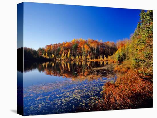 Pond in the Chaquamegon National Forest, Cable, Wisconsin, USA-Chuck Haney-Premier Image Canvas