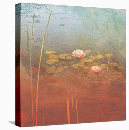 Pond Lilies II-Amy Melious-Stretched Canvas