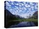 Pond Next to St. Mary Lake, Glacier National Park, Montana, United States of America, North America-James Hager-Premier Image Canvas