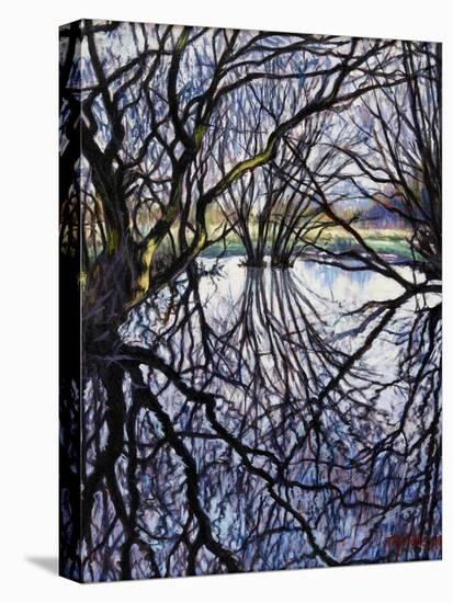 Pond Reflections, 2009-Tilly Willis-Premier Image Canvas