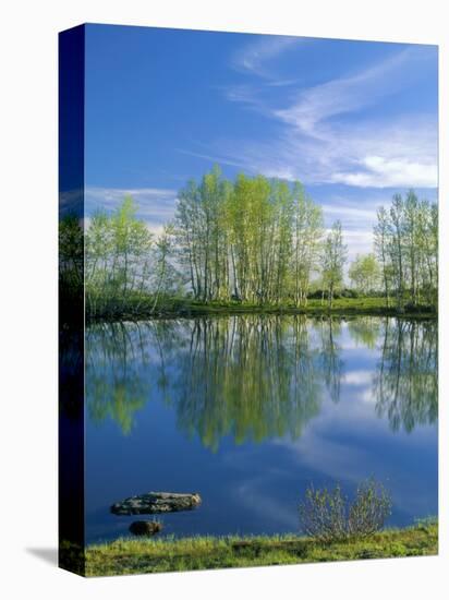 Pond Reflects Aspen & Cirrus Clouds at Sunrise on Steens Mountain, Oregon, USA-Scott T^ Smith-Premier Image Canvas