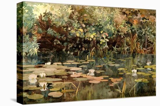 Pond with Water Lilies, Early 1890s-Elena Dmitryevna Polenova-Premier Image Canvas