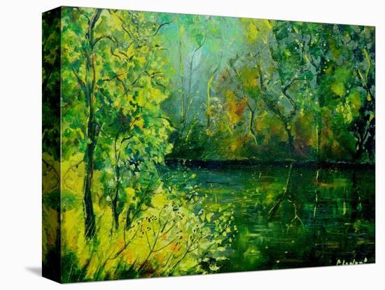 Pond-Pol Ledent-Stretched Canvas