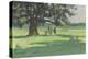 Ponies Under The Tree-Jennifer Wright-Premier Image Canvas