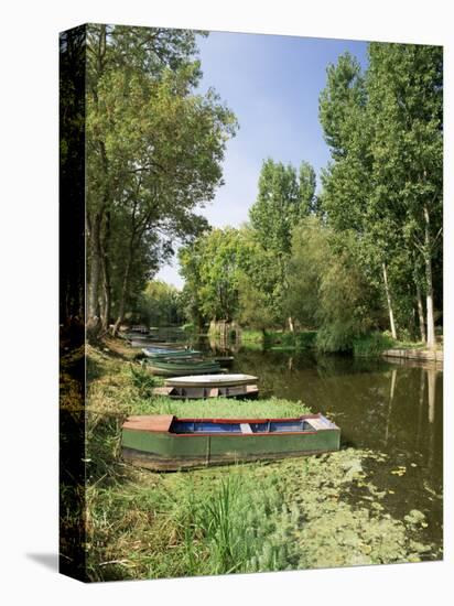 Pont St. Martin, Western Loire, Pays De La Loire, France-Michael Busselle-Premier Image Canvas