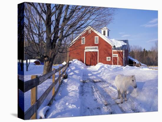 Pony and Barn near the Lamprey River in Winter, New Hampshire, USA-Jerry & Marcy Monkman-Premier Image Canvas