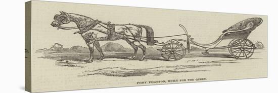 Pony Phaeton for Her Majesty-null-Premier Image Canvas