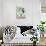 Poodle Parlor-Anderson Design Group-Stretched Canvas displayed on a wall