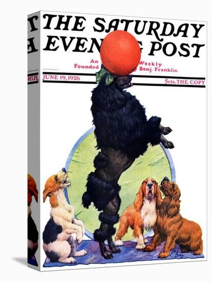 "Poodle Tricks," Saturday Evening Post Cover, June 19, 1926-Robert L. Dickey-Premier Image Canvas