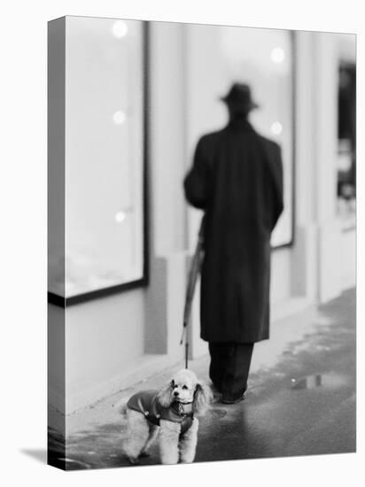Poodle with Man, Lucerne, Switzerland-Walter Bibikow-Premier Image Canvas