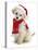 Poodle with Scarf and Father Christmas Hat-Jane Burton-Premier Image Canvas