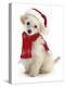 Poodle with Scarf and Father Christmas Hat-Jane Burton-Premier Image Canvas