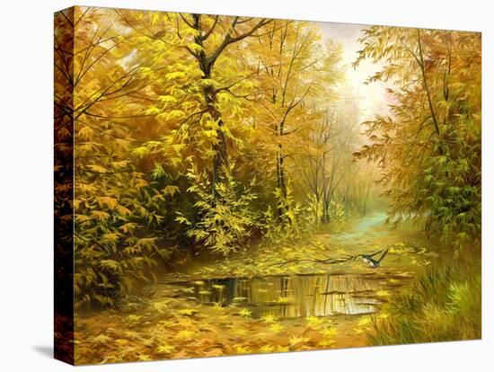 Pool On Road To Autumn Wood-balaikin2009-Stretched Canvas