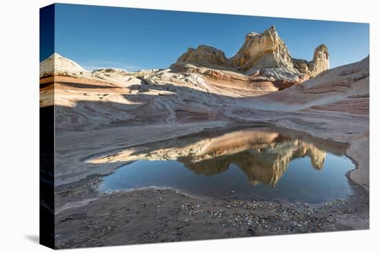 Pool reflection and sandstone landscape, Vermillion Cliffs, White Pocket wilderness, Bureau of Land-Howie Garber-Premier Image Canvas