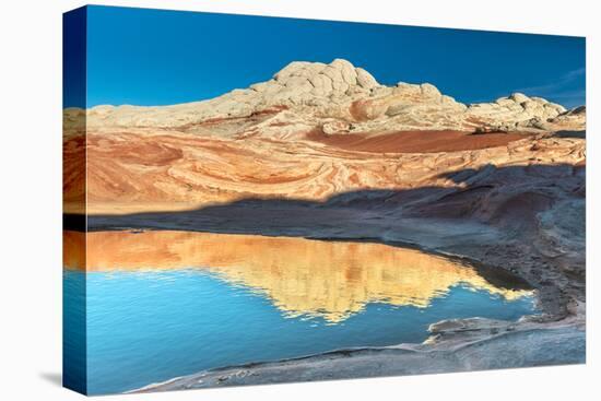 Pool Reflection and Sandstone Landscape, Vermillion Cliffs, White Pockets Wilderness, Bureau of Lan-Howie Garber-Premier Image Canvas