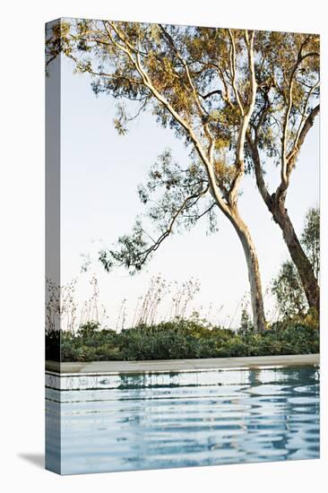 Poolside Shade-Karyn Millet-Premier Image Canvas