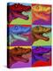 Pop Art Dinosaurs 2-Howie Green-Premier Image Canvas
