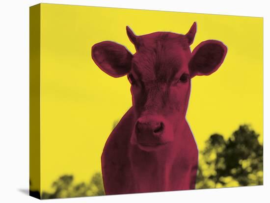 Pop Cattle - Buttercup-Eccentric Accents-Stretched Canvas