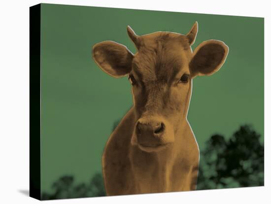 Pop Cattle - Sage-Eccentric Accents-Stretched Canvas