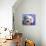 Pop Dog V-Kim Curinga-Stretched Canvas displayed on a wall