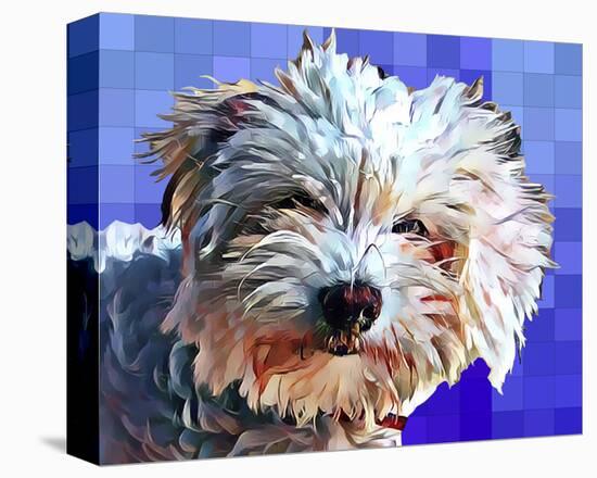 Pop Dog V-Kim Curinga-Stretched Canvas