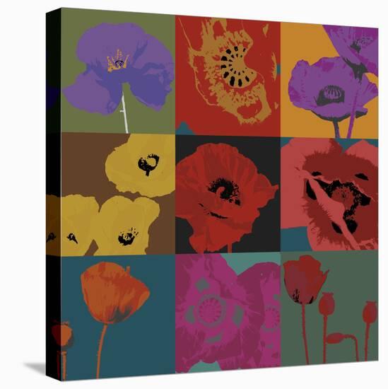 Pop Poppies-Don Li-Leger-Stretched Canvas