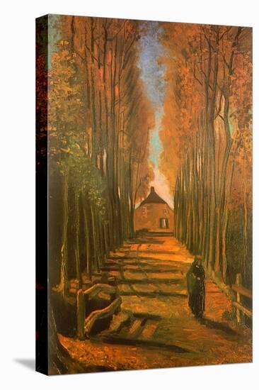 Poplar-Lined Path, 1884-Vincent van Gogh-Premier Image Canvas
