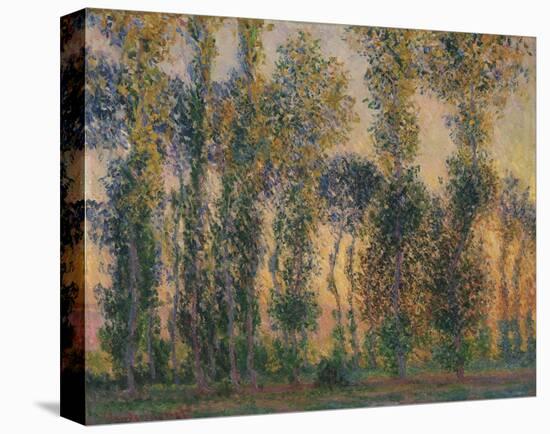 Poplars at Giverny, Sunrise, 1888-Claude Monet-Stretched Canvas