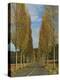 Poplars on Both Sides of an Empty Rural Road Near St. Mont, Les Landes, Aquitaine, France, Europe-Michael Busselle-Premier Image Canvas