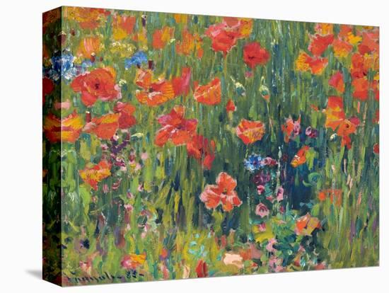 Poppies, 1888-Robert William Vonnoh-Premier Image Canvas