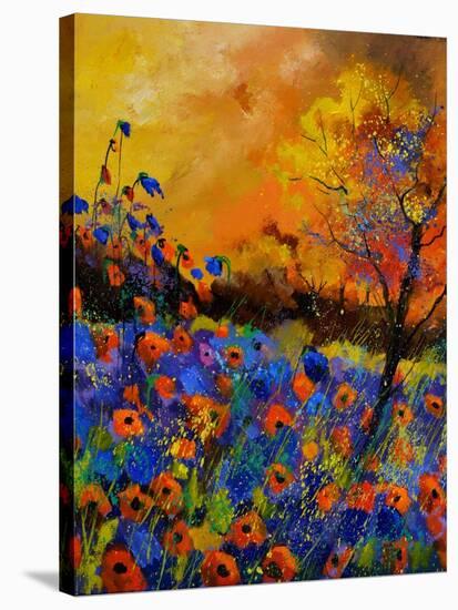 Poppies 675140-Pol Ledent-Stretched Canvas