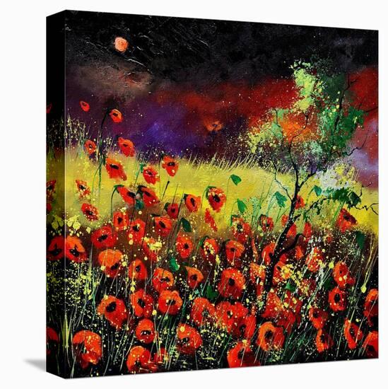 Poppies 7741-Pol Ledent-Stretched Canvas