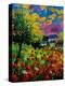 Poppies And Daisies 560110-Pol Ledent-Stretched Canvas