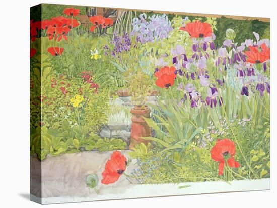 Poppies and Irises Near the Pond-Linda Benton-Premier Image Canvas