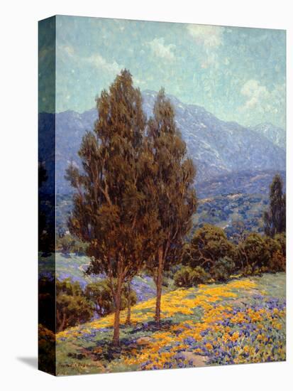 Poppies and Lupines-Granville Redmond-Stretched Canvas