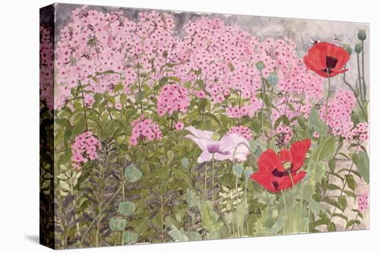 Poppies and Phlox-Linda Benton-Premier Image Canvas